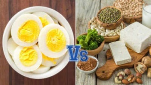 Vegetarian Powerhouses: 20 Plant-Based Protein Sources That Outperform an Egg