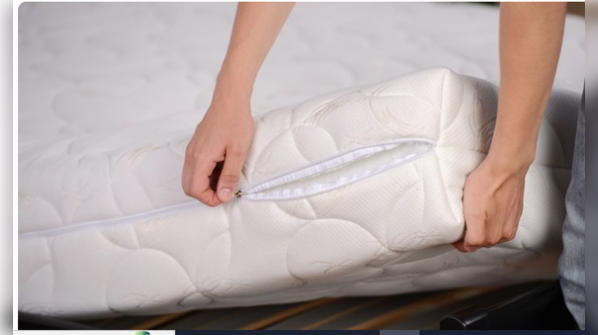 Dust Mites Infesting Old Mattress