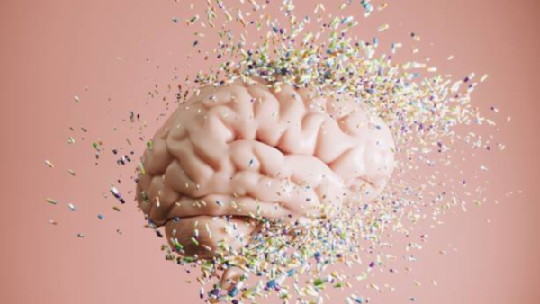 Brain scan highlighting the uncinate fasciculus