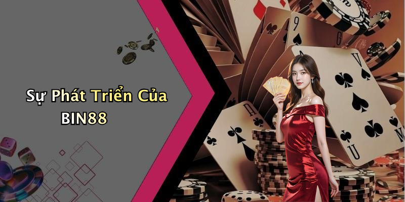 Sự Phát Triển Của BIN88
