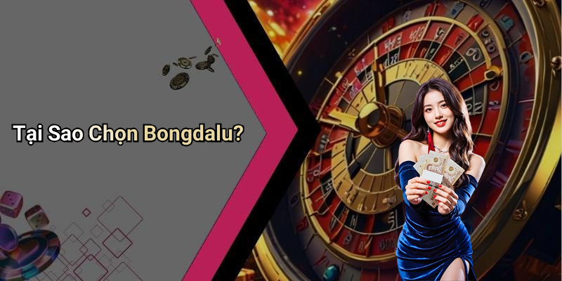 Tại Sao Chọn Bongdalu?