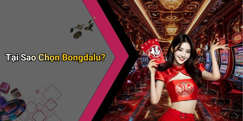 Tại Sao Chọn Bongdalu?