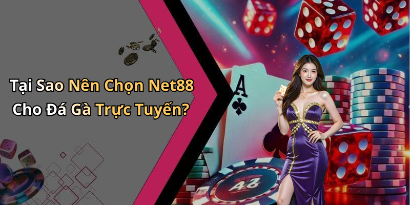 Tại Sao Nên Chọn Net88 Cho Đá Gà Trực Tuyến?