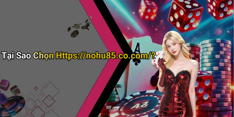 Tại Sao Chọn Https://nohu85.co.com/?