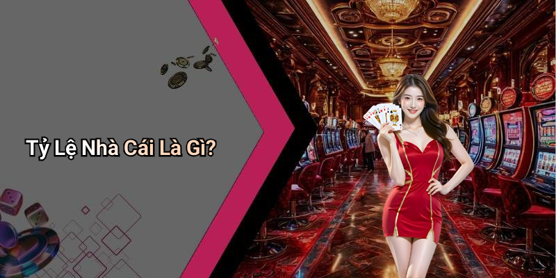 Tỷ Lệ Nhà Cái Là Gì?