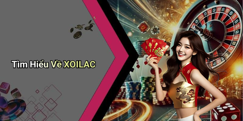 Tìm Hiểu Về XOILAC