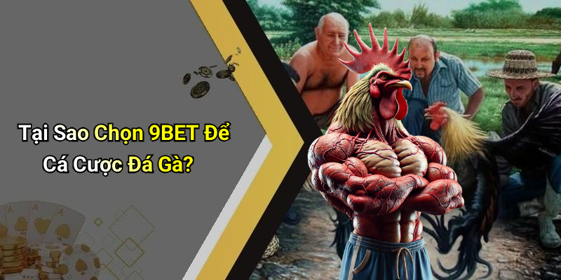 Tại Sao Chọn 9BET Để Cá Cược Đá Gà?