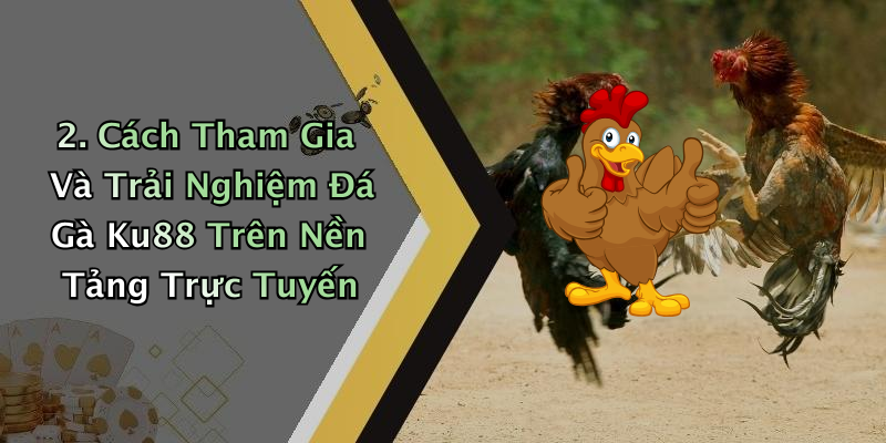 2. Cách Tham Gia Và Trải Nghiệm Đá Gà Ku88 Trên Nền Tảng Trực Tuyến