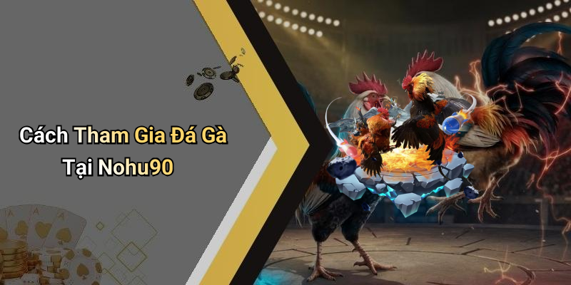 Cách Tham Gia Đá Gà Tại Nohu90