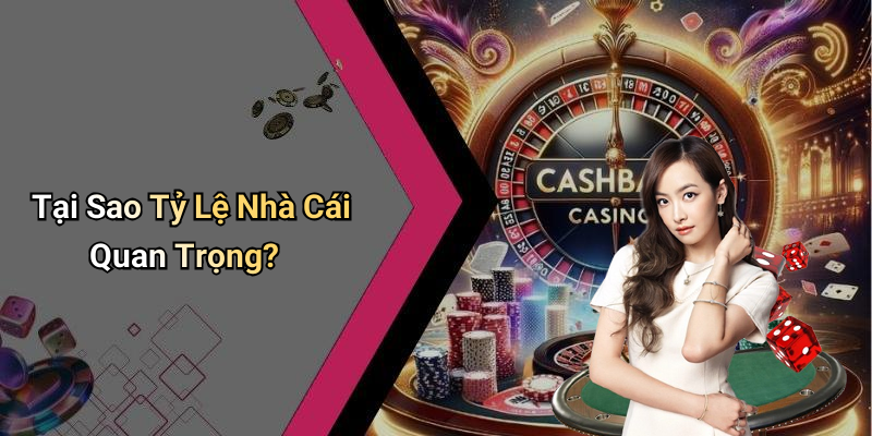 Tại Sao Tỷ Lệ Nhà Cái Quan Trọng?