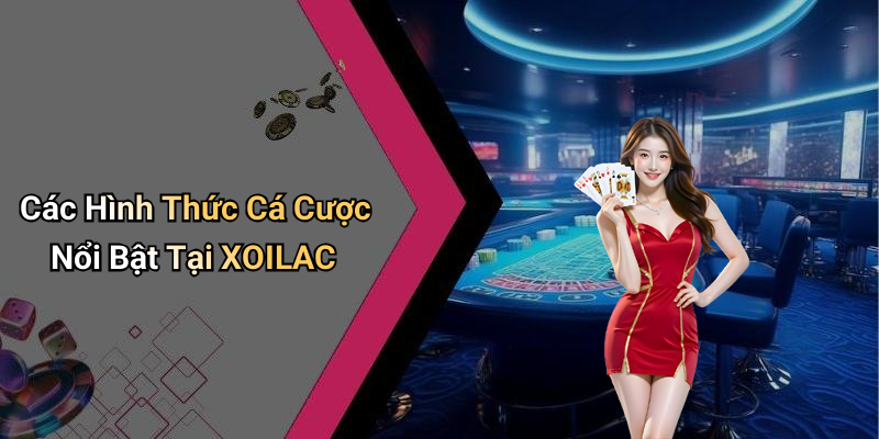 Các Hình Thức Cá Cược Nổi Bật Tại XOILAC