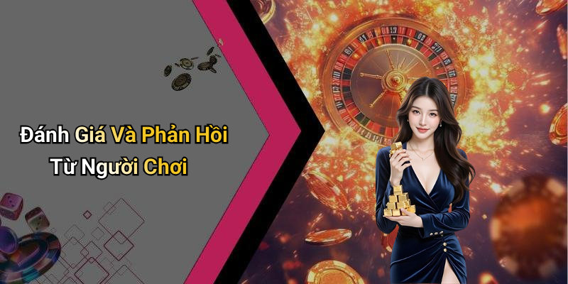Đánh Giá Và Phản Hồi Từ Người Chơi