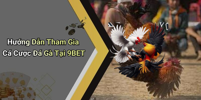 Hướng Dẫn Tham Gia Cá Cược Đá Gà Tại 9BET