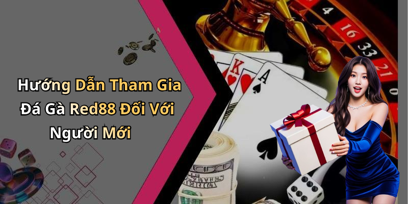 Hướng Dẫn Tham Gia Đá Gà Red88 Đối Với Người Mới