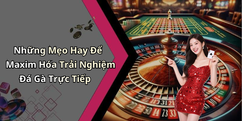 Những Mẹo Hay Để Maxim Hóa Trải Nghiệm Đá Gà Trực Tiếp